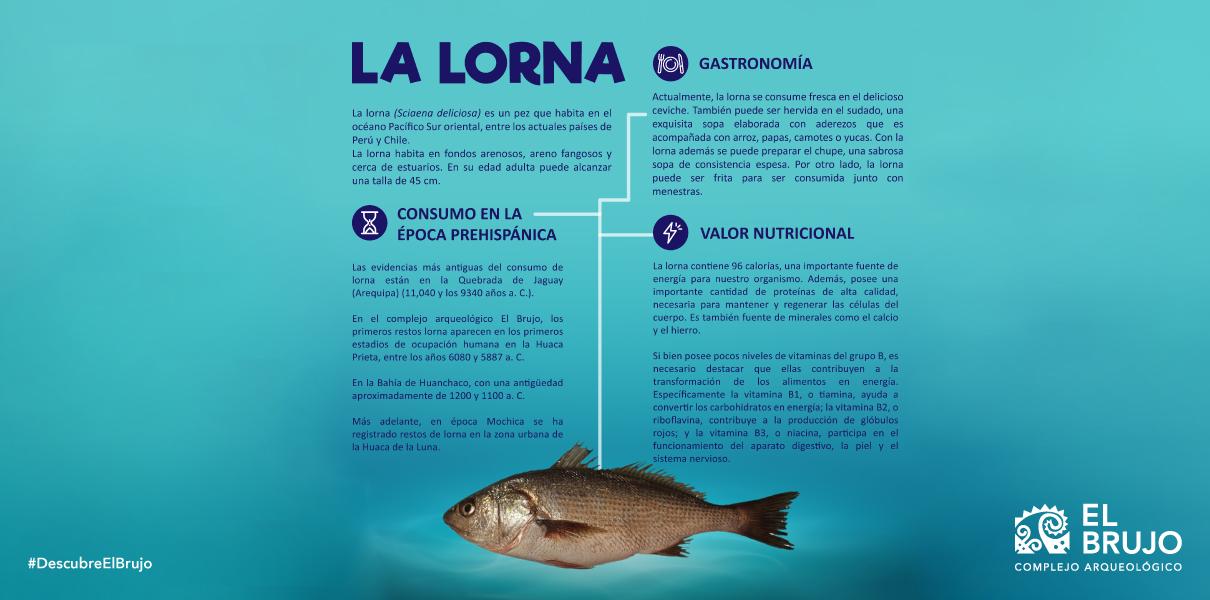 Consumo de la lorna